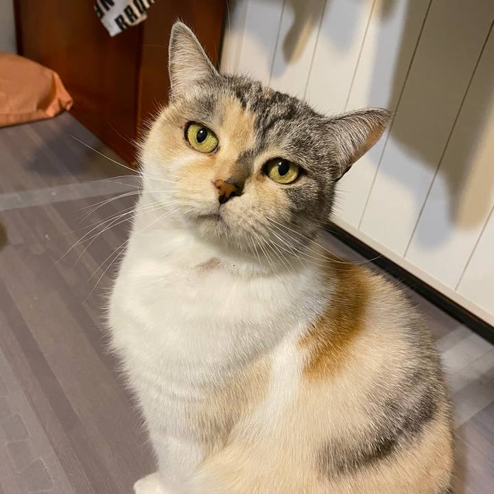 F381abf6 c5f5 4393 8ac5 ae6b5ec50c41 1609166192404