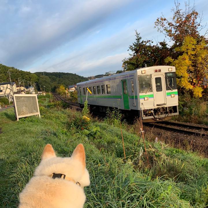 F381b16b 8ae1 43bf 844b 6f9d18176713 1570399757653