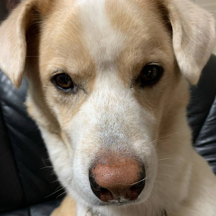 F3821635 d9c7 4eec be69 fb1477ad1ccb 1576736871302