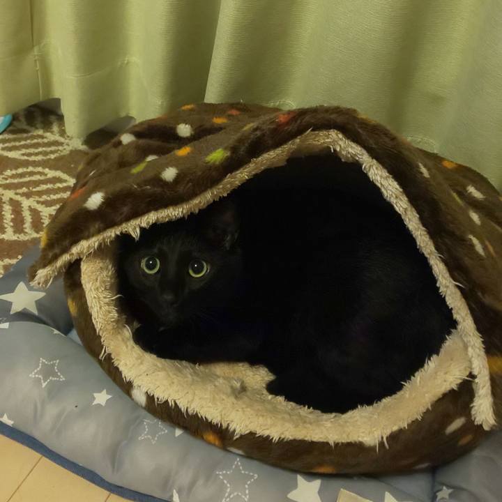 F3821b9d c706 4745 a583 c127c280b303 1602242966039