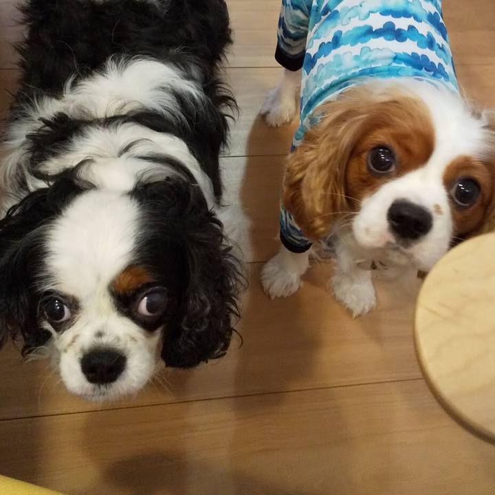 F38235ac 8276 4037 88c2 2fe24124c52f 1596366703595