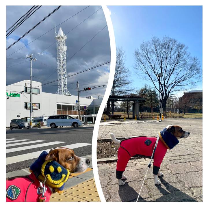 F38236d1 3432 4681 944d 9cbbd1387a07 1646468192330