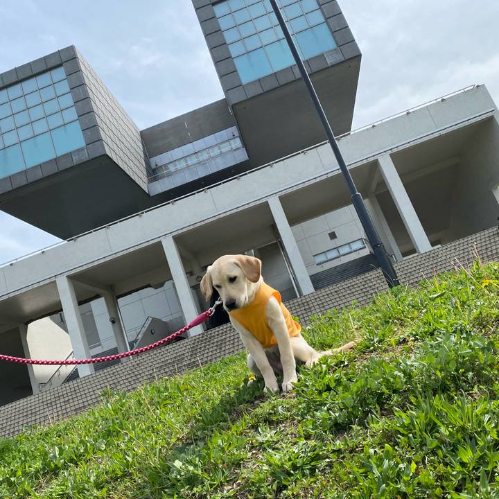 F3827a19 0e19 49ae b0a4 e250b3fd3e7c 1617258684496