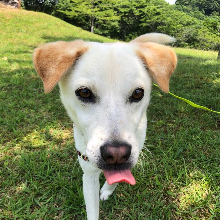 F382a863 3a4e 48a3 a246 037054f2ae1d 1623501489957