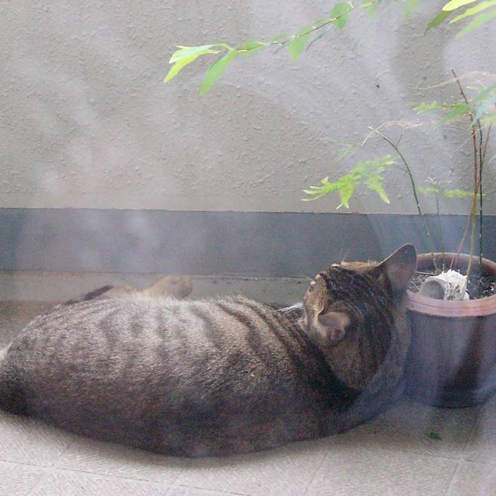 F382f150 896a 4f1c bc74 7acafb3aabf1 1571959247161