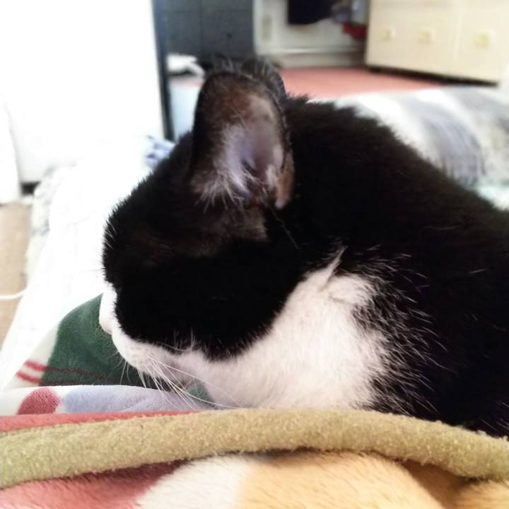 F382fe63 f4a9 4d30 8da8 5f52a347b5bb 1542934910218