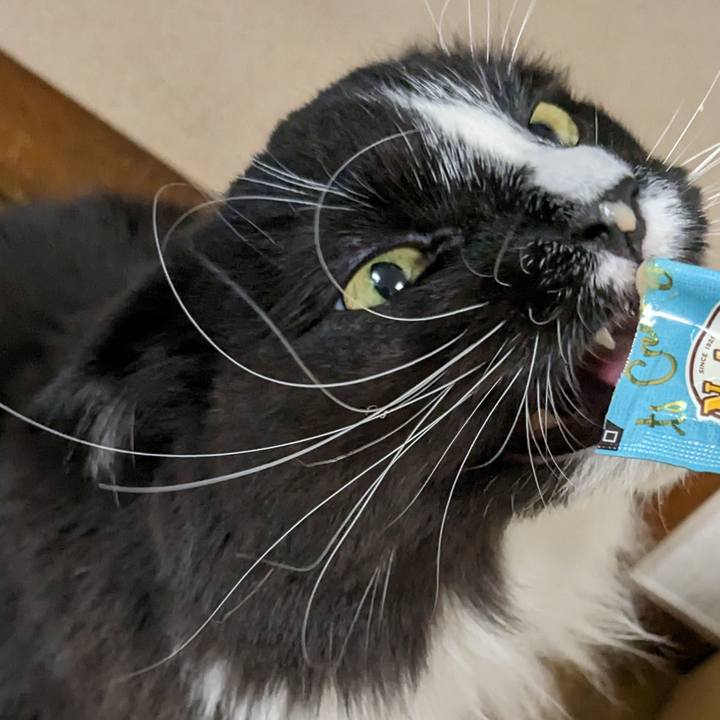 F3833e46 6896 4548 a88d c376f42ebad3 1679055206007