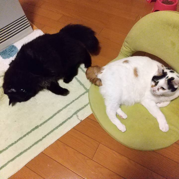 F38371f6 9bae 4a29 a203 3018bc41f4c6 1613380828498