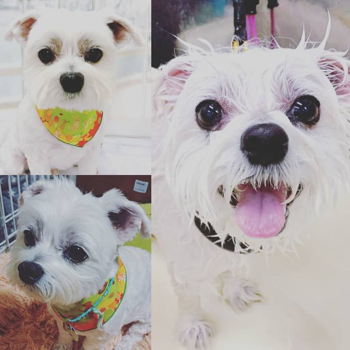 F383a640 bca4 40d9 a506 24279e0bfd28 1636366532261