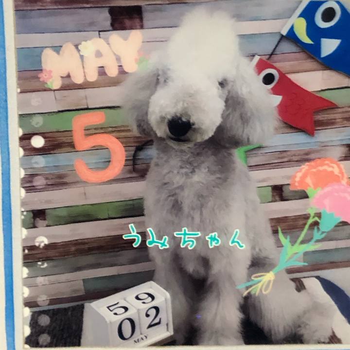 F384075d 5c35 4973 9c45 72b8590fa232 1588413733983