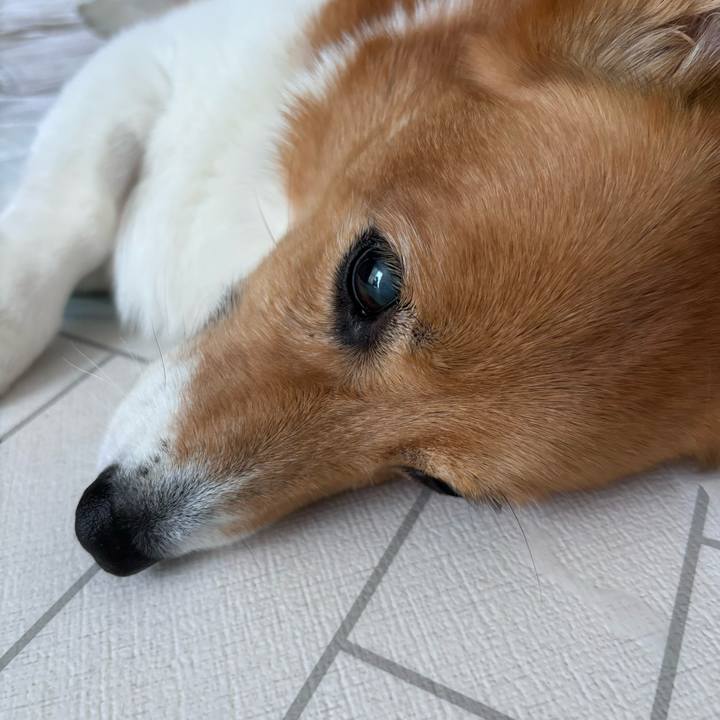 F3842850 555a 42b1 8f74 d126378c058e 1753567041422