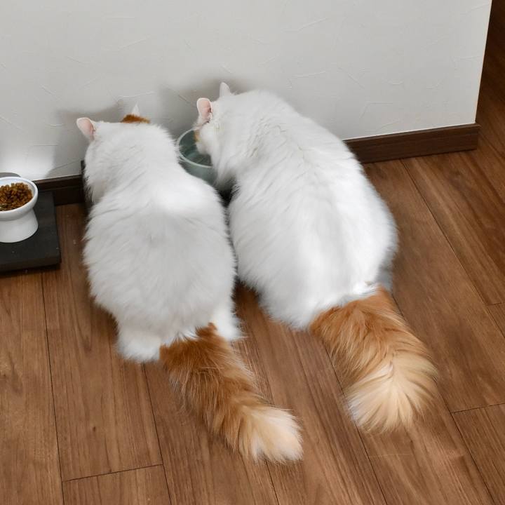 F3843c1a a5ab 4f1e 99d2 cda776c6f86b 1764383923679