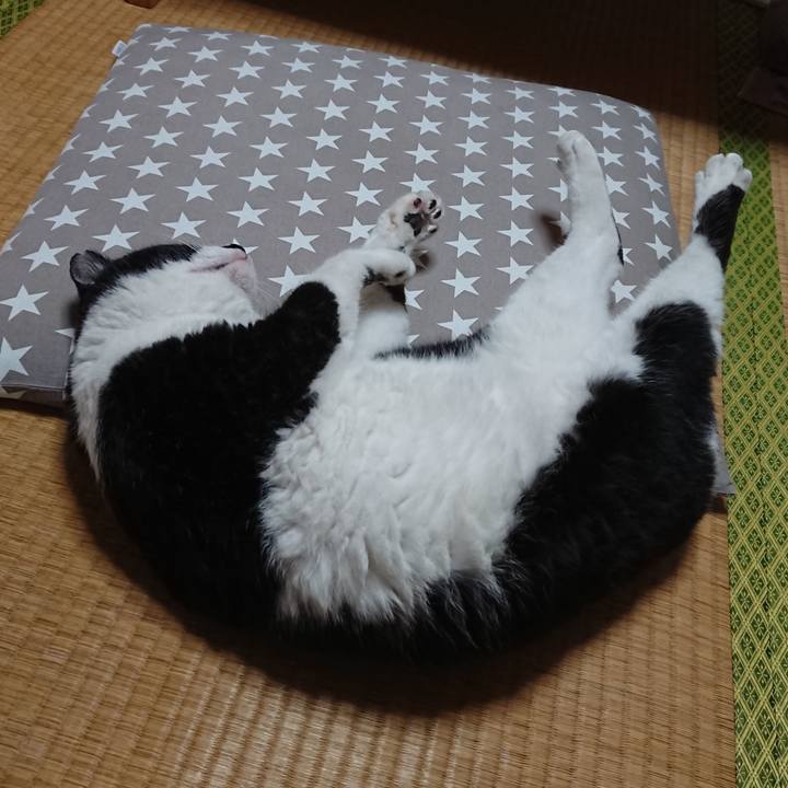 F38443ba 948d 4e70 ae2c a5a12e90d4f1 1625316569613