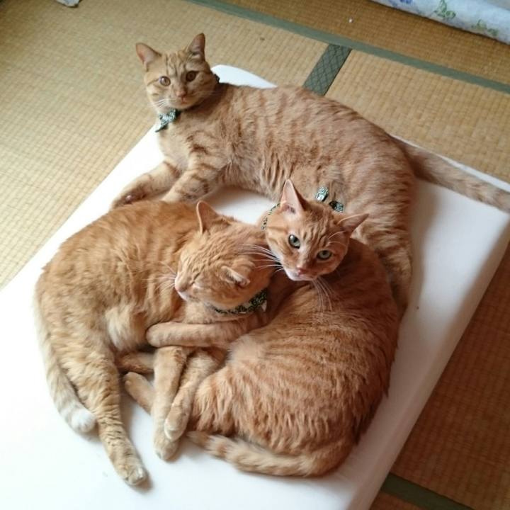 F3844c46 d17c 4438 a37b cca3a56d6c23 1566452964549