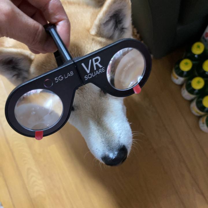 F38450e9 79ca 4c58 b1b8 6ef249e9e62d 1611618992942