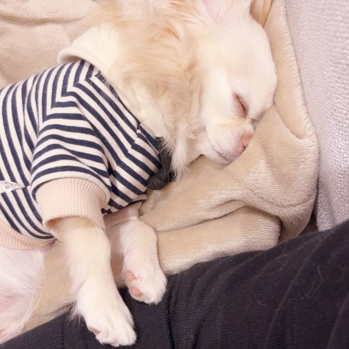 F384fa99 92e8 4668 ba5d ad2772da6de4 1737716240851