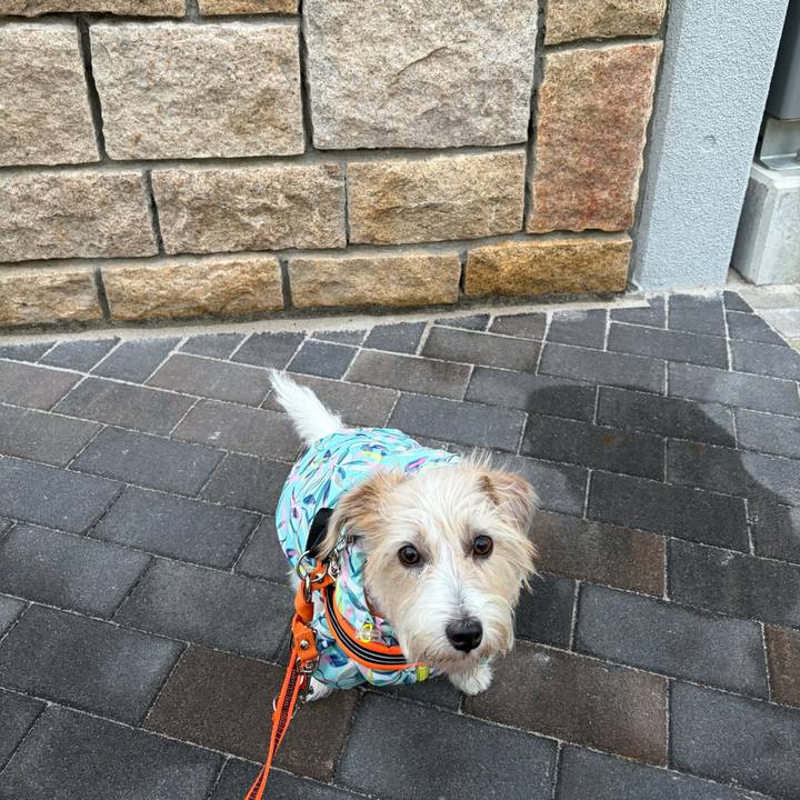 F3850125 6ad9 4872 92b2 cafde2b76572 1765752248610