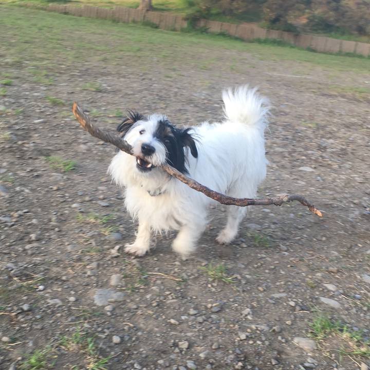 F385018e 039f 4340 ac3b 0824e361c688 1523568772094