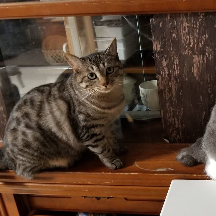 F3850bdc d746 4103 92e6 d403084febf8 1692028935396