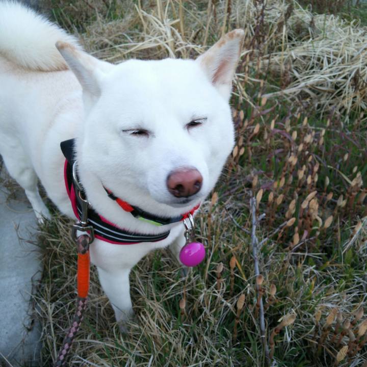 F3851bdd 13d1 47db a3fd badd226e72dc 1552987006084