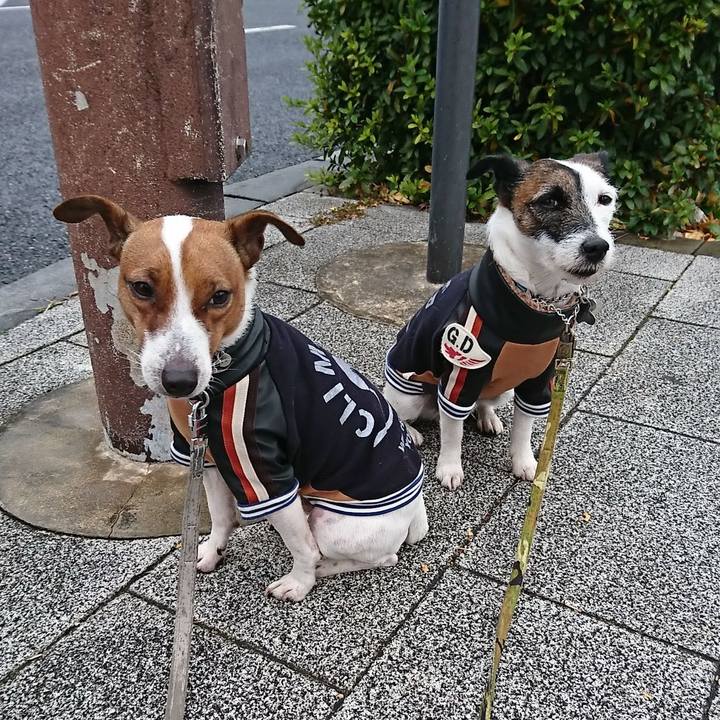 F3851fdb 0347 4378 90e4 7ccb2cba93fc 1577664903830