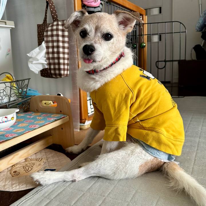 F3856677 45fe 4323 a0cb 34c155f42554 1771479635622