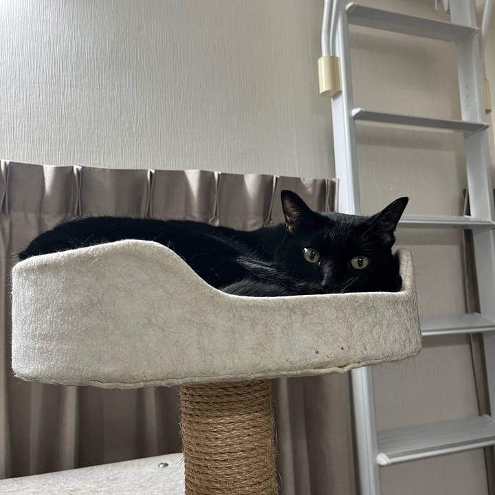 F38581ba 5dfb 4fc3 9efa ce9609d92b7c 1696594275136