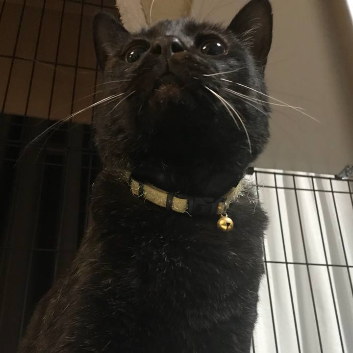 F385de76 b904 45b4 acf3 ed86a00ca96e 1518167910841