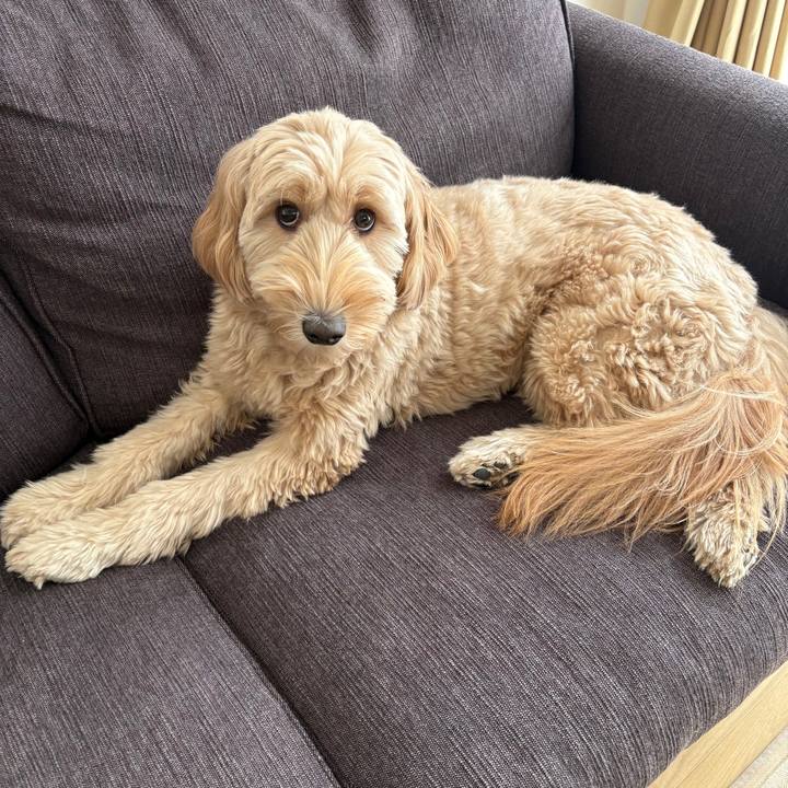 F385e2ec e2f9 4cac b573 ca3bcc7e8242 1762231294262