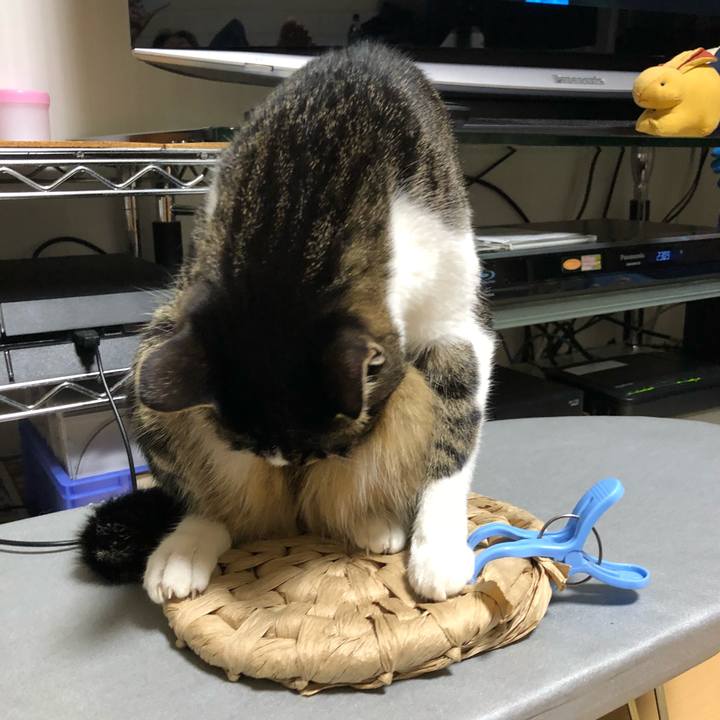 F385e64f a546 44a2 851c 47e52845de9e 1527795757997