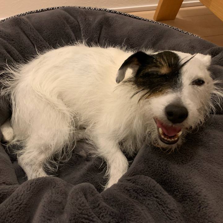 F385e7d7 98e2 42bd b9b9 55baca1ce20d 1655815448878