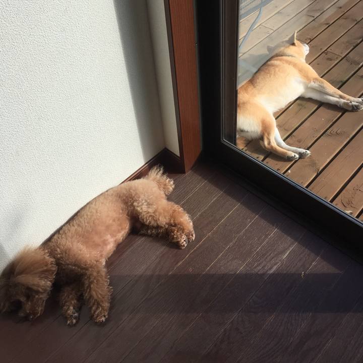 F385f771 ea55 41a3 a967 36838b05ceab 1515814089169