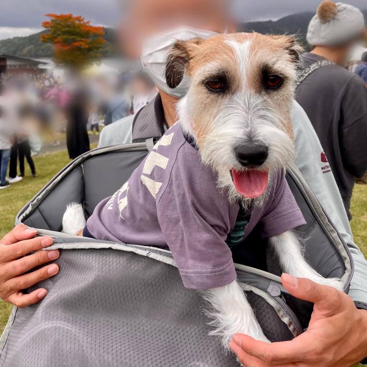 F38615d1 06a1 4322 a0f4 9e696e7a4481 1666006514873