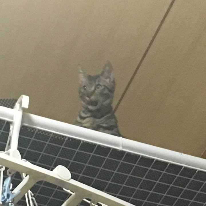 F3862812 b7d5 4b7f b972 984c12592b9e 1575973365778