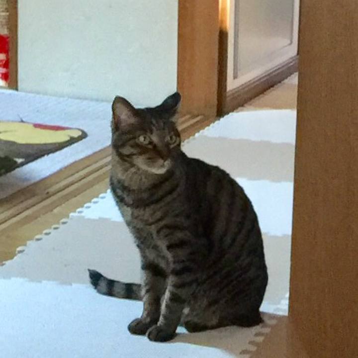 F3867670 dce7 46fb bf62 77c0c226a5d0 1510009346398