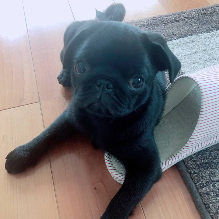 F386912e e928 47b5 8c84 5c5203e73f15 1588642207515