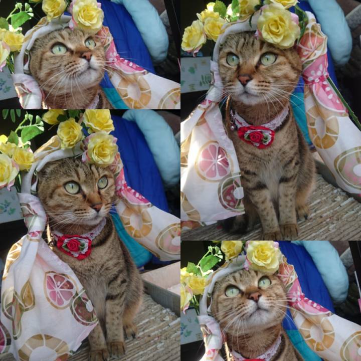 F3869197 6bd9 4ca0 b3af eb6d5fff82cc 1760652837569