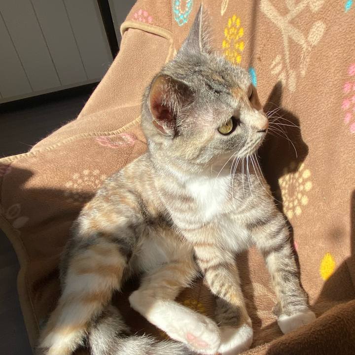 F386ae01 3f31 4685 ada8 0c9beab70679 1611969911040