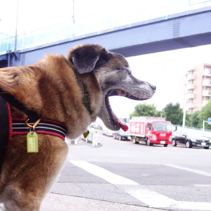 F386c5cb 976f 453f b882 e2720dda2267 1561767553180