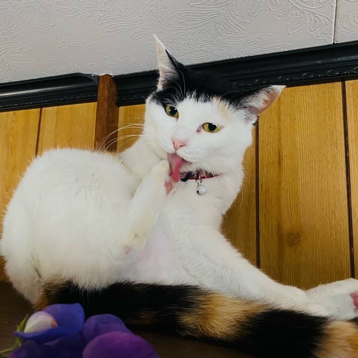 F386d643 f774 4710 9dea 546df8e260cc 1653949291186