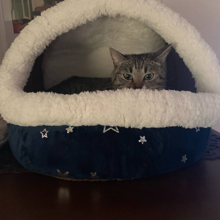 F386f079 5525 45b6 b6a5 cc7948470d78 1573242242958