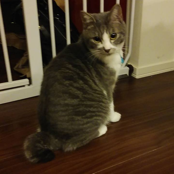 F387204e 33b7 414e a396 b165ae10f984 1582210266663