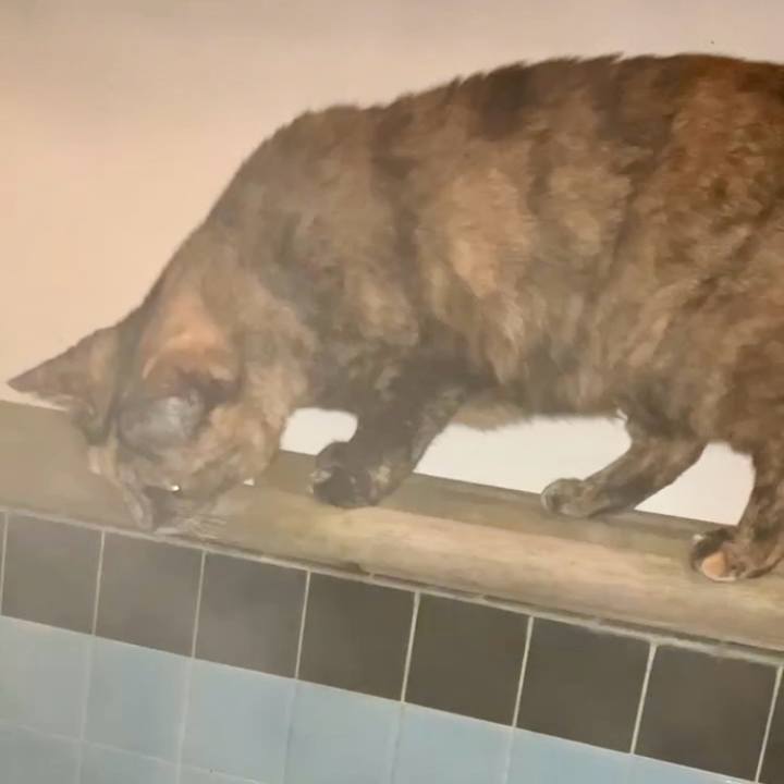 F3874018 f269 45ea 8eb9 3fb84975cafd 1738268499441