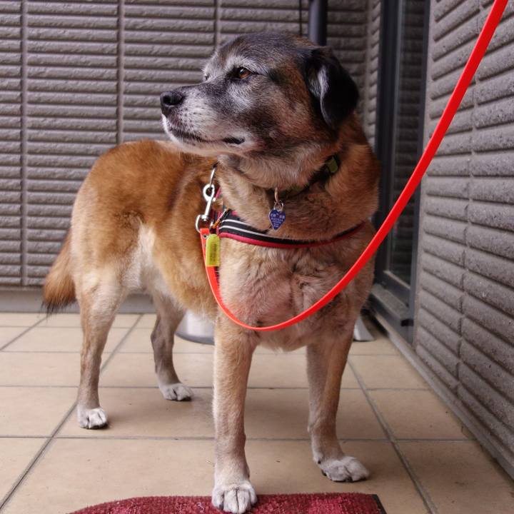 F3875536 ecdd 4cbc bfdb 47a633a92a4b 1523928520685