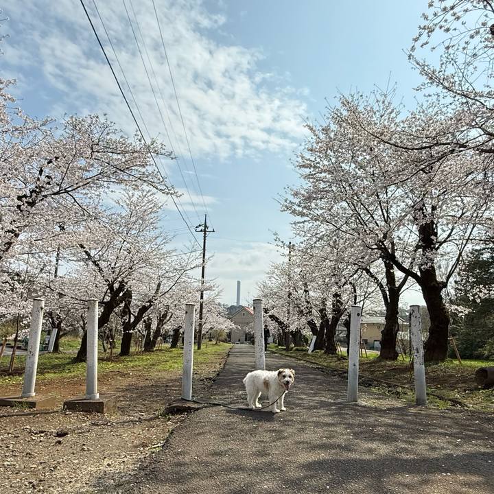 F387603d 1db9 448d a5a6 6162d57b3e08 1774870773833