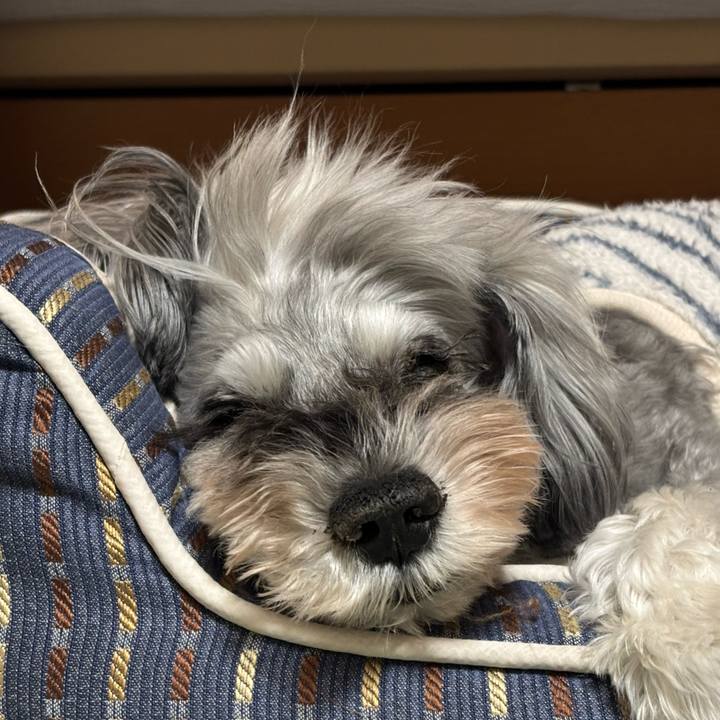 F3876615 4914 4f0f 9afd c4781df00e19 1762954539951