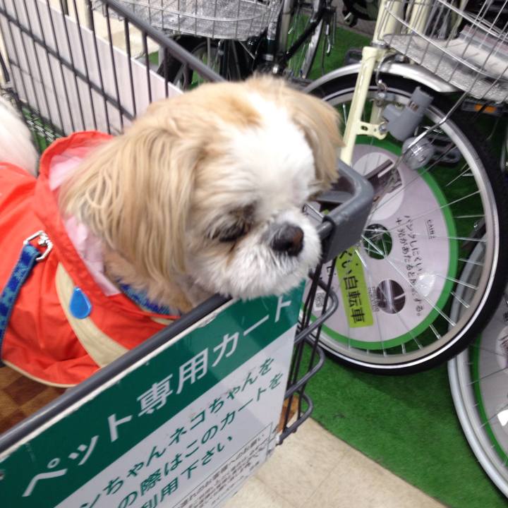 F3877229 a48c 41dd 9f48 822f3e9e7124 1515468058954