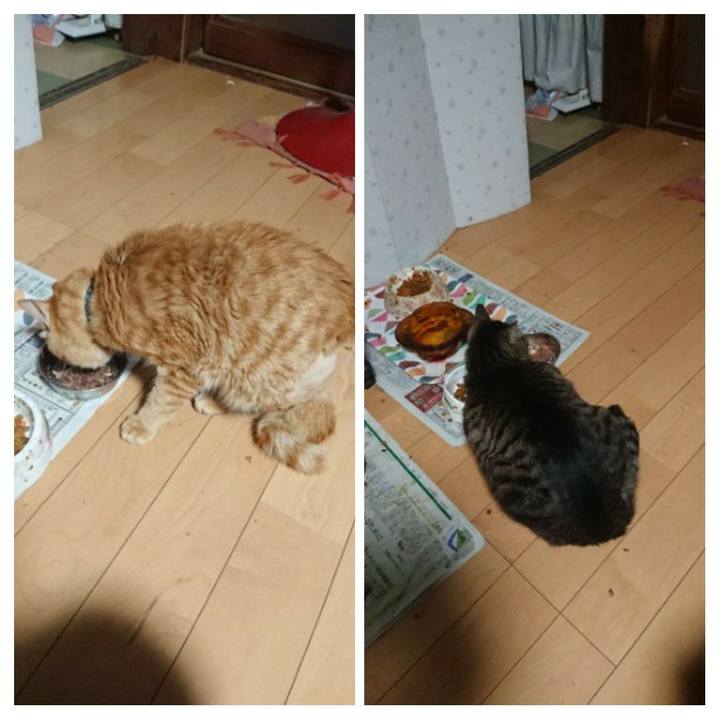 F38786d1 9e29 405f a8d3 98382aebede4 1653944581586