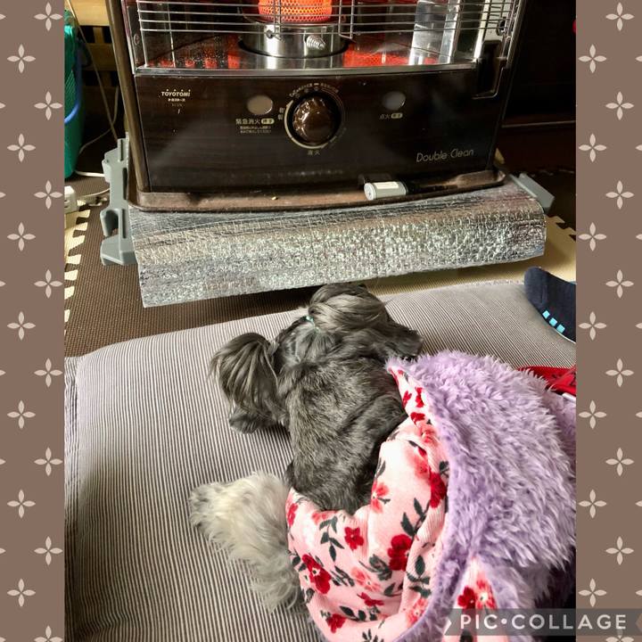 F3879cdd 71d7 4785 a2eb d4ba0a79d313 1704688223199