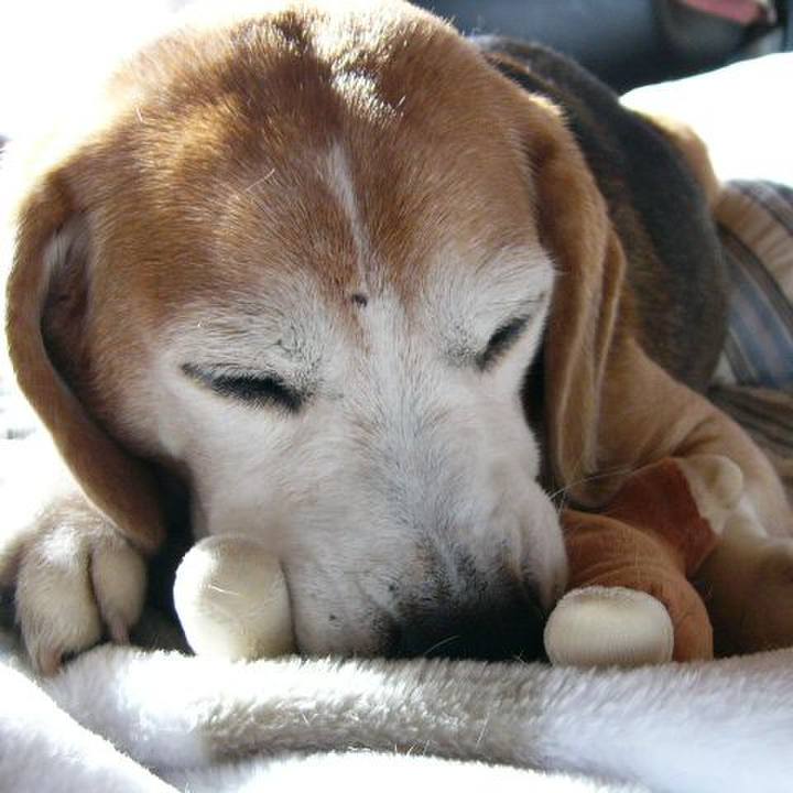 F387bbbb 69f4 462d ba9b 8001d2a0e768 1644283064990